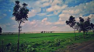 Village farm field view